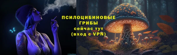 PSILOCYBIN Бородино